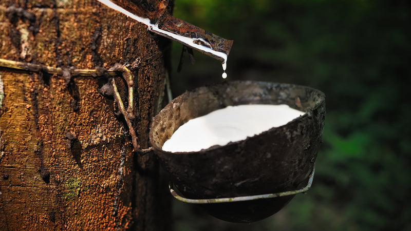 Why Do We Use Only 100% Natural Organic Latex?