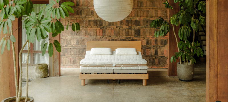 Wooden vs Upholstered Bed Frame: Which Is Right for You?