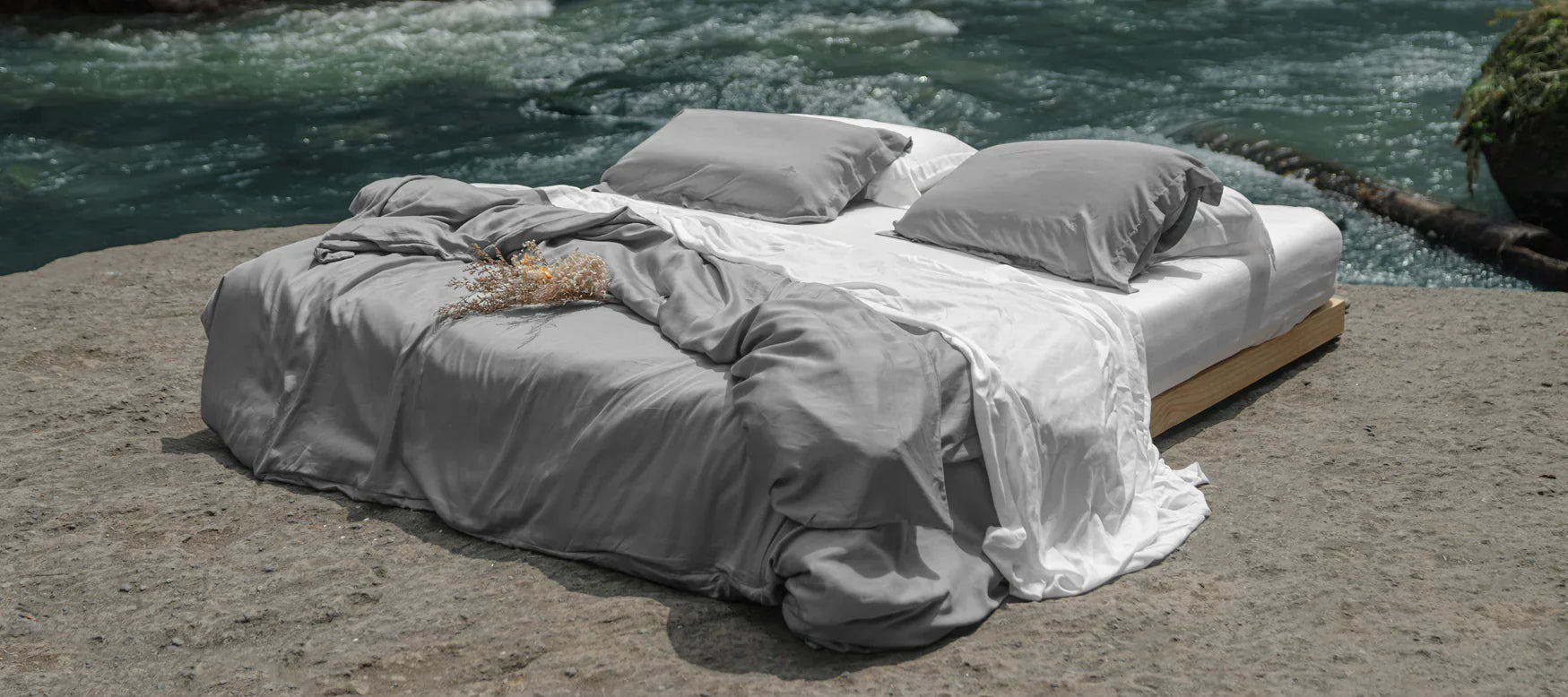 The Bamboo Guide: Everything You Need to Know About Bamboo